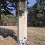 Pod drzewem stoi wysoki, prostokątny kamienny pomnik z tablicą pamiątkową na szczycie. U jego podstawy umieszczono trzy znicze w szklanych pojemnikach. W tle widoczne są sosny i sucha trawa.