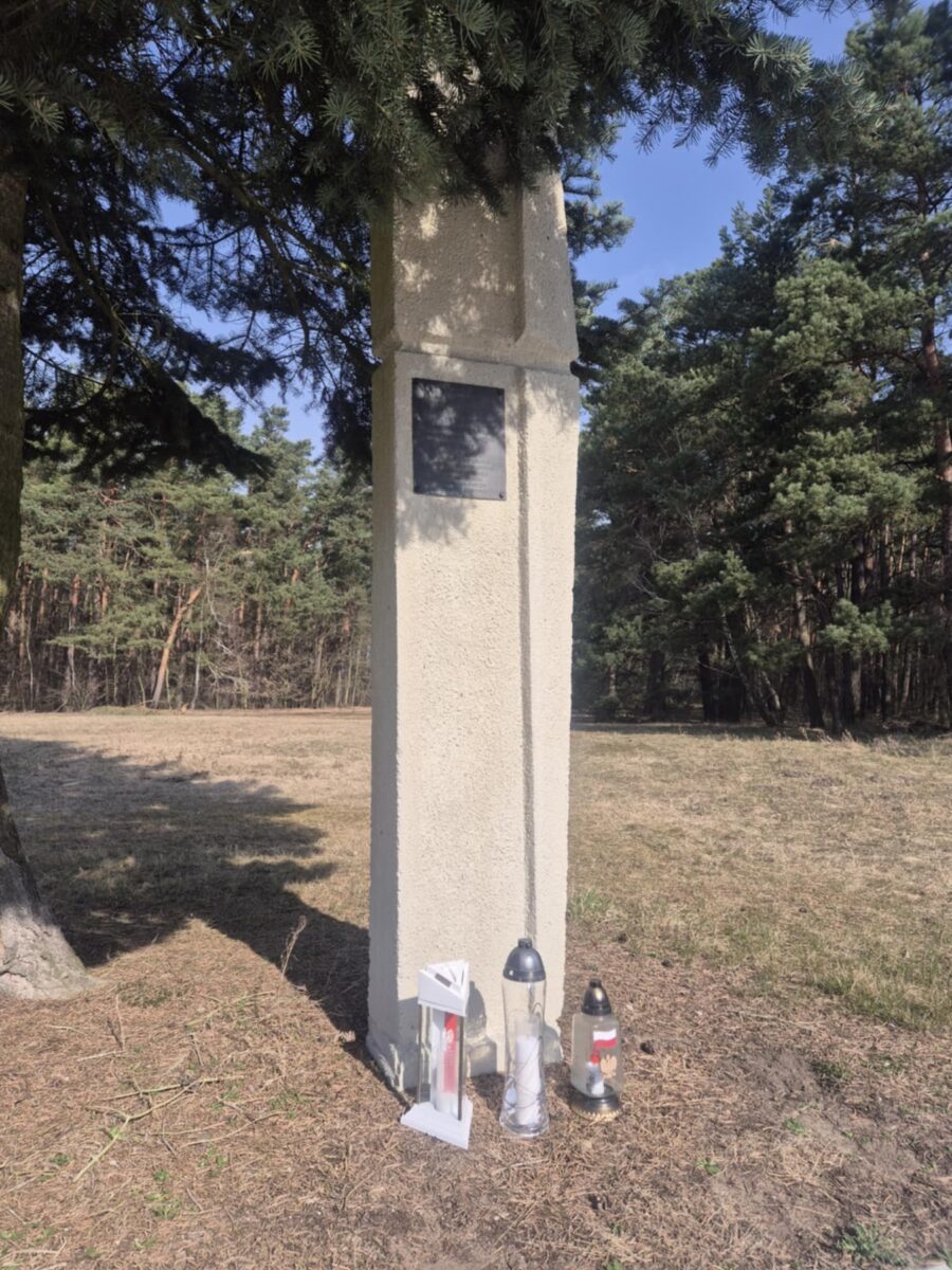 Pod drzewem stoi wysoki, prostokątny kamienny pomnik z tablicą pamiątkową na szczycie. U jego podstawy umieszczono trzy znicze w szklanych pojemnikach. W tle widoczne są sosny i sucha trawa.