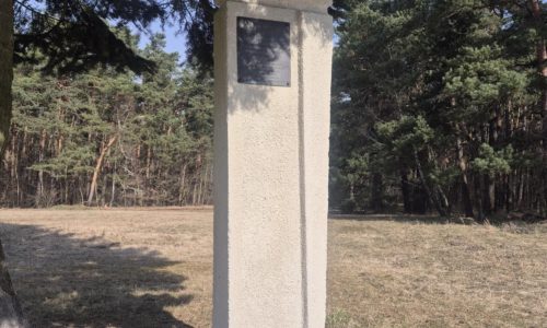 Pod drzewem stoi wysoki, prostokątny kamienny pomnik z tablicą pamiątkową na szczycie. U jego podstawy umieszczono trzy znicze w szklanych pojemnikach. W tle widoczne są sosny i sucha trawa.