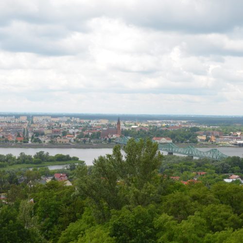 Malowniczy widok miasta z przepływającą przez nie rzeką, zielonym metalowym mostem, wieloma budynkami i bujną zielenią drzew na pierwszym planie pod zachmurzonym niebem.